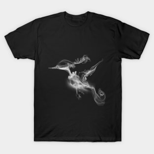 humming bird smoke art T-Shirt